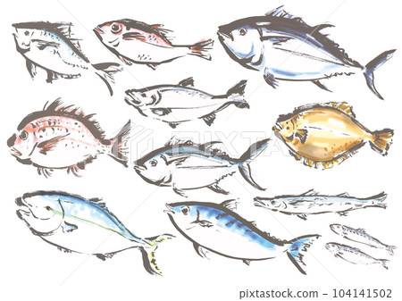 hand drawn fish set illustration hand drawn fish set illustration 104141502