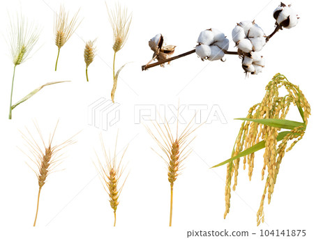 Cutout material set - Harvest Cutout material set - Harvest 104141875