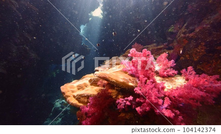 One diver exploring cave. One diver exploring cave. 104142374