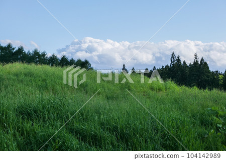 Sky and clouds over Koiwai Farm Early summer sky over Koiwai Farm Sky and clouds over Koiwai Farm Early summer sky over Koiwai Farm 104142989