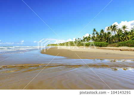 Sargi beach surrounded by coconut trees and completely deserted Sargi beach surrounded by coconut trees and completely deserted 104143291