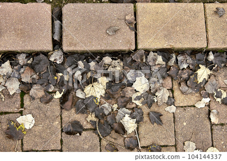 Group of dried leaves on a rectangular flagstone pathway Group of dried leaves on a rectangular flagstone pathway 104144337
