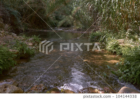 Mountain river with calm, crystal-clear waters 104144338