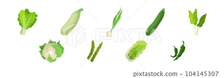 Green Vegetables with Zucchini, Onion, Salad Leaves, Asparagus, Cabbage and Cauliflower Vector Set 104145307