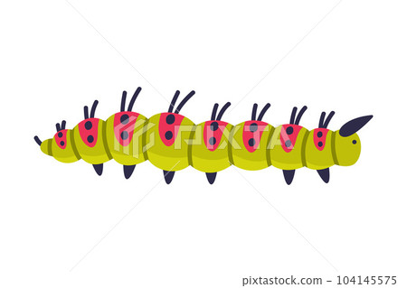 Bright Caterpillar as Larval Stage of Insect Crawling and Creeping Vector Illustration Bright Caterpillar as Larval Stage of Insect Crawling and Creeping Vector Illustration 104145575