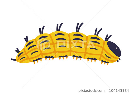 Yellow Caterpillar as Larval Stage of Insect Crawling and Creeping Vector Illustration Yellow Caterpillar as Larval Stage of Insect Crawling and Creeping Vector Illustration 104145584