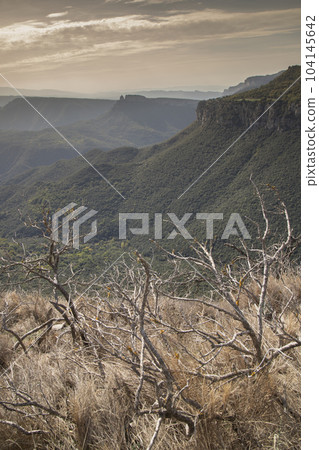 Collsacabra mountains landscape in Guilleries National Park in Catalonia 104145642