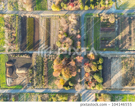 Aerial photography "Saitama Prefecture" Autumn scenery of Minuma rice field taken with a drone 104146555