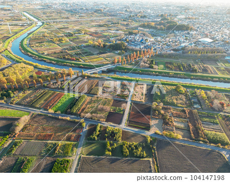 Aerial photography "Saitama Prefecture" Autumn scenery of Minuma rice field taken with a drone 104147198
