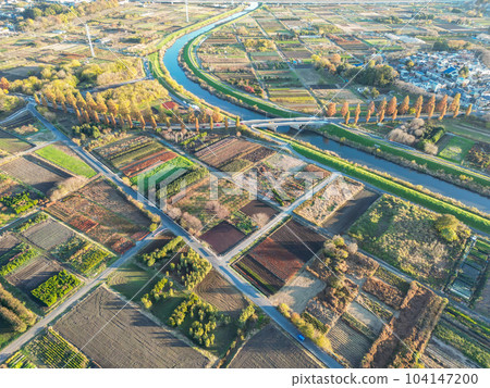 航拍“埼玉縣”用無人機拍攝的見沼稻田秋景 104147200