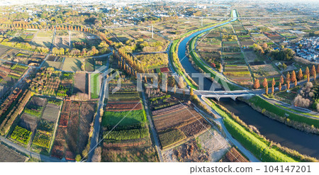 Aerial photography "Saitama Prefecture" Autumn scenery of Minuma rice field taken with a drone 104147201