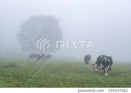 霧牧場 霧牧場 104147362