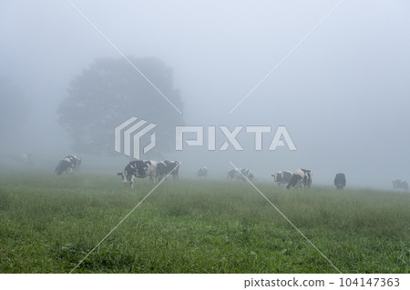霧牧場 霧牧場 104147363