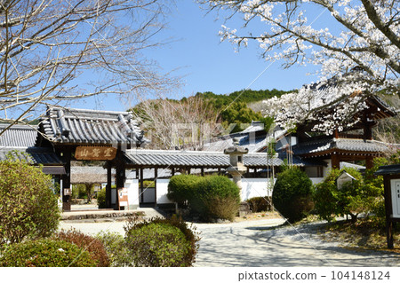 Sesonji Middle Gate and Cherry Blossoms (Hisoji Ruins) [Oyodo-cho, Yoshino-gun, Nara Prefecture] 104148124