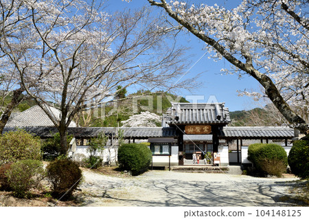 Sesonji Middle Gate and Cherry Blossoms (Hisoji Ruins) [Oyodo-cho, Yoshino-gun, Nara Prefecture] 104148125