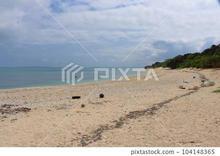 Aragusuku Island (Panari Island) Kitanohama (Aragusukujima Maibishi Marine Park Area) Aragusuku Island (Panari Island) Kitanohama (Aragusukujima Maibishi Marine Park Area) 104148365