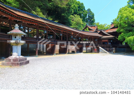 [香川縣] 清晨“金比羅先生”金刀比羅宮（本殿和南藤殿） 104148481