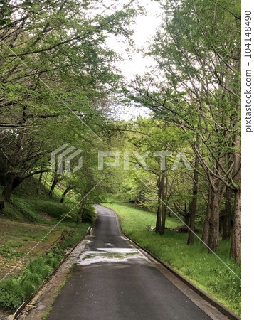 森林路 森林路 104148490