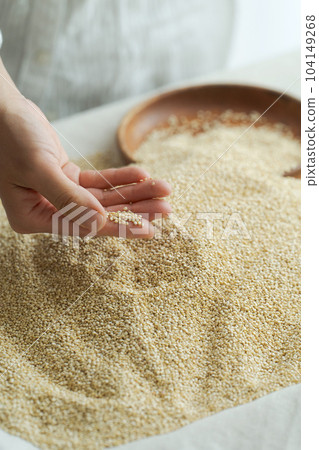 Picture of Superfood Quinoa Picture of Superfood Quinoa 104149268