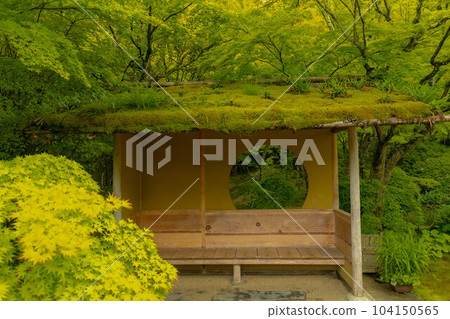 Entsuin Japanese garden Entsuin Japanese garden 104150565
