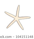 starfish 104151148