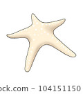 starfish 104151150