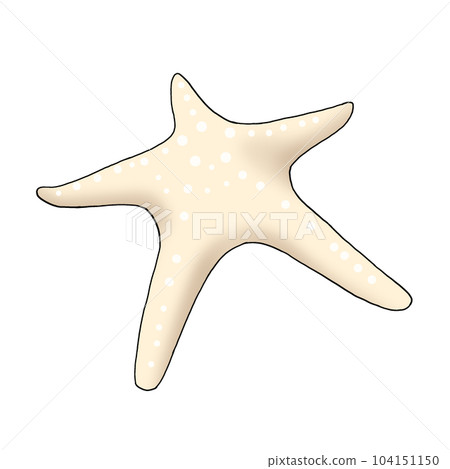 starfish starfish 104151150