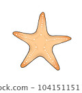 starfish 104151151