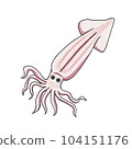Squid 104151176