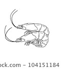 Shrimp 104151184