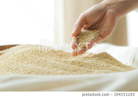 Picture of Superfood Quinoa 104151283
