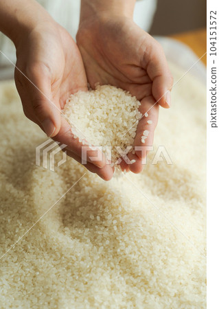 Hand photo of a woman scooping white rice 104151572