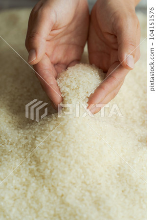 一個女人舀白米的手照片 一個女人舀白米的手照片 104151576