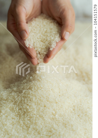 一個女人舀白米的手照片 104151579