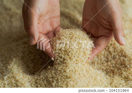 Brown rice and a photo of a woman's hand Brown rice and a photo of a woman's hand 104151964