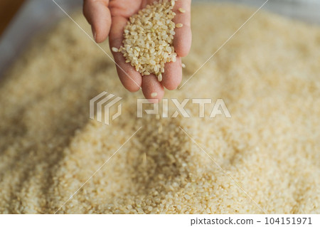 Brown rice and a photo of a woman's hand 104151971