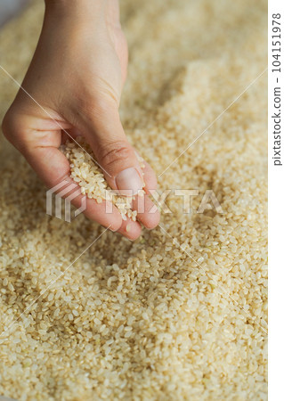 Brown rice and a photo of a woman's hand 104151978