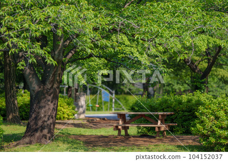 樹蔭下的桌子長凳 104152037