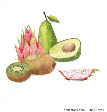 Tropical fruits - kiwi, dragon fruit, pears, avocado, highlighted on a white background. Watercolor 104152251