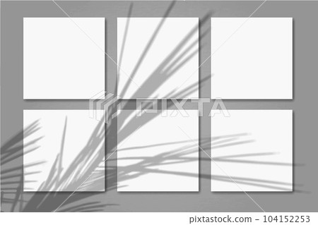 Natural light casts shadows from the palm branch on 6 square sheets of white textured paper lying on grey textured background. Mockup Natural light casts shadows from the palm branch on 6 square sheets of white textured paper lying on grey textured background. Mockup 104152253