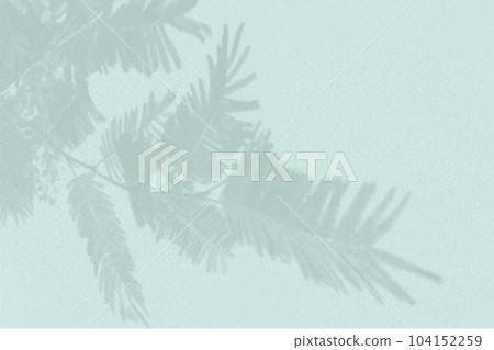 Natural light casts shadows from tui branch on a textured blue background. Mock up with an overlay of plant shadows 104152259