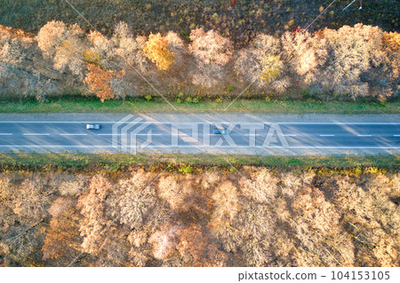 Aerial view of intercity road with fast driving cars between autumn forest trees at sunset. Top view from drone of highway traffic in evening 104153105