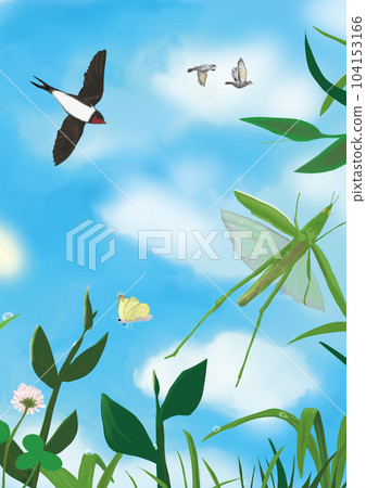 Birds and insects playing in the summer sky 104153166