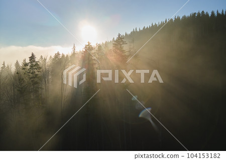 Aerial view of foggy evening over dark pine forest trees at bright sunset. Amazingl scenery of wild mountain woodland at dusk Aerial view of foggy evening over dark pine forest trees at bright sunset. Amazingl scenery of wild mountain woodland at dusk 104153182