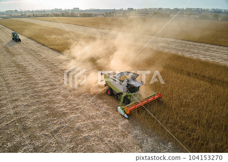 Aerial view of combine harvester working during harvesting season on large ripe wheat field. Agriculture concept Aerial view of combine harvester working during harvesting season on large ripe wheat field. Agriculture concept 104153270