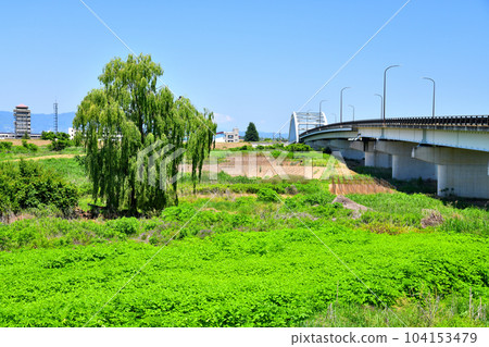 Looking towards Shinonoi/Nagano Prefectural Fire School from near Akasaka Bridge/Chikuma River (Nagano City, Nagano Prefecture) [June 2023] 104153479