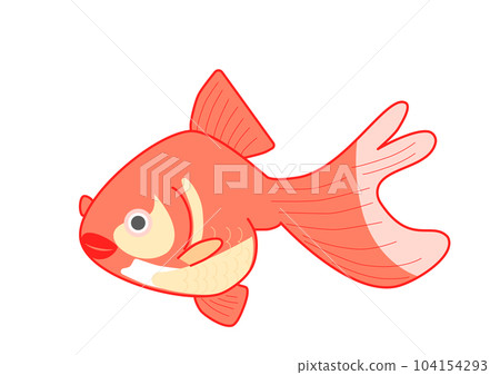 Goldfish (red) Goldfish (red) 104154293