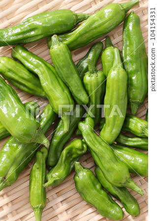 青椒 104154331