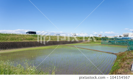 Paddy field 2 along the riverbed Paddy field 2 along the riverbed 104154567