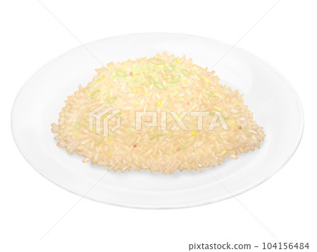 炒飯放在盤子裡 現實例證 104156484